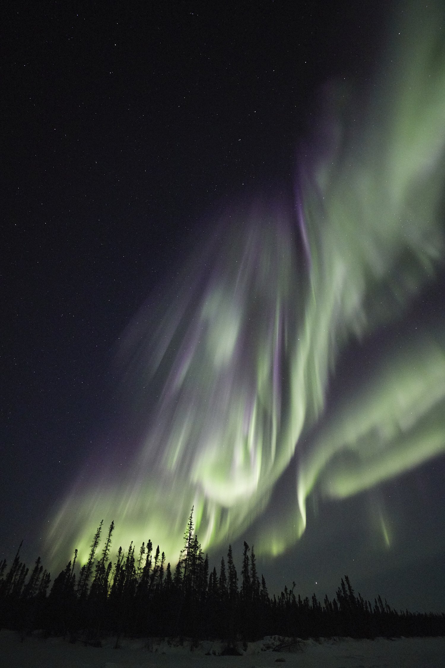 Best Northern Lights Photos of 2017 - 2018 Season - Yellowknife Canada - 31.jpg