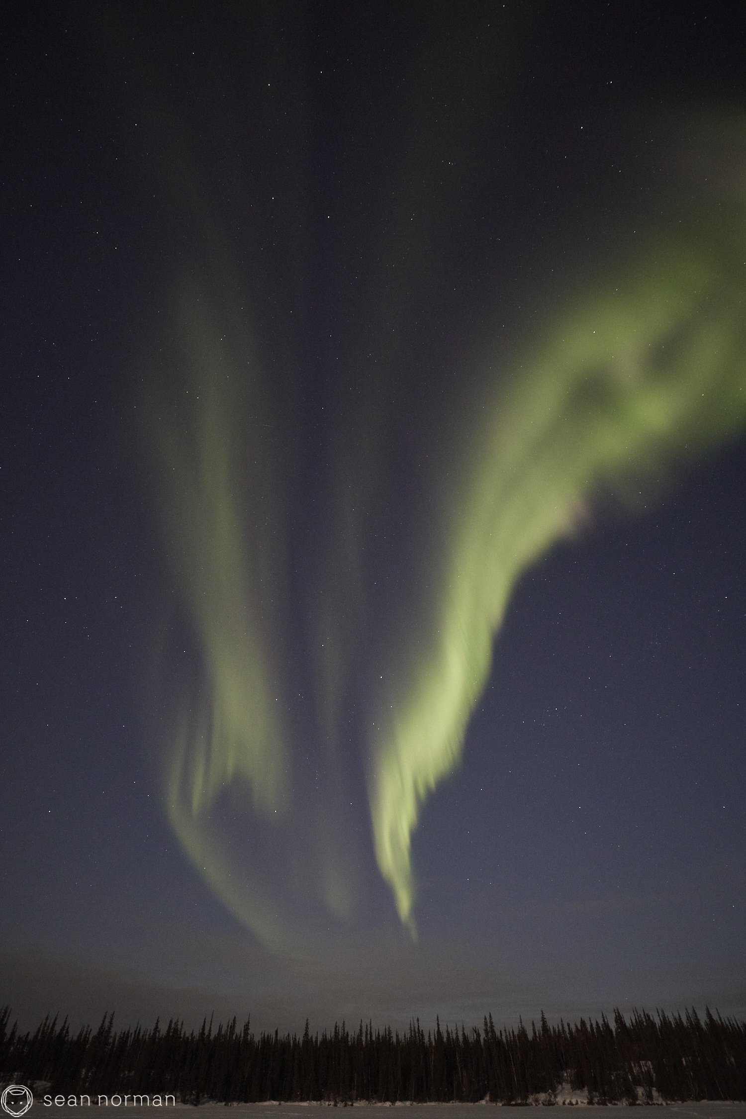 Yellowknife Aurora Guide - Aurora Hunting Tour - 6.jpg