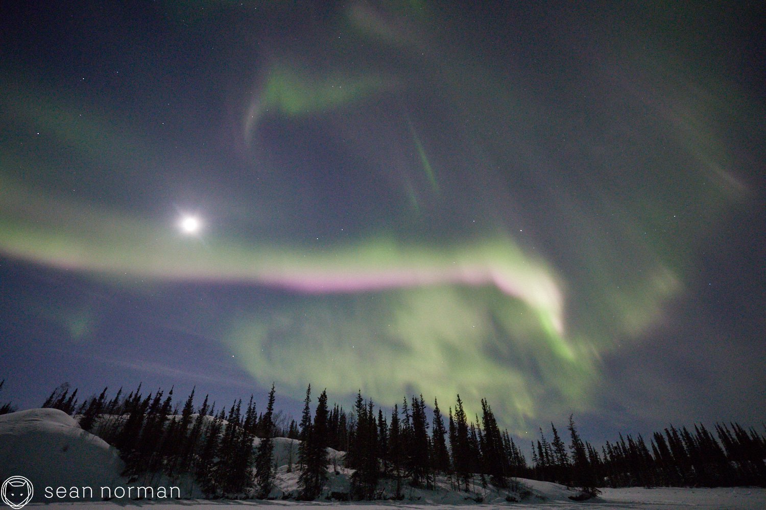 Yellowknife Aurora Guide - Aurora Photo Blog - 4.jpg