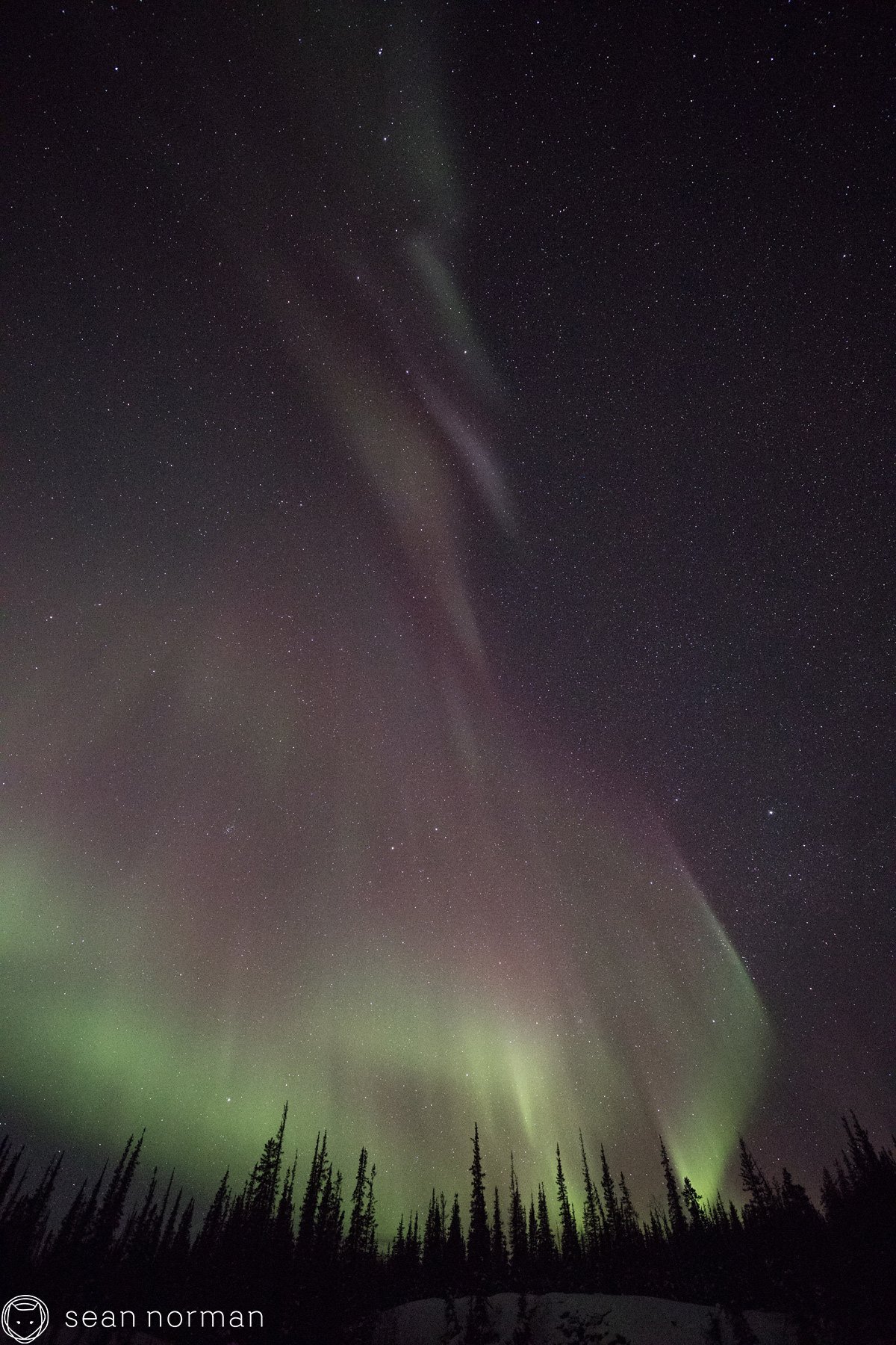 Yellowknife Canada Aurora - Northern Light Guided Tour - 4.jpg