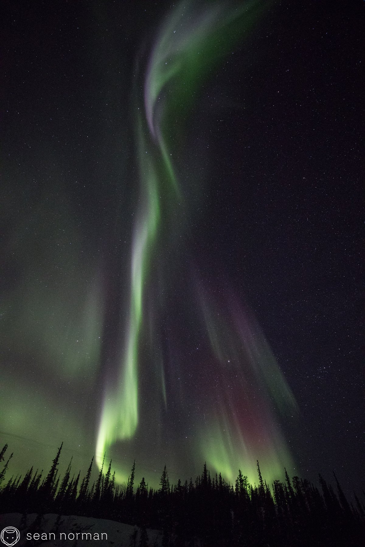 Yellowknife Canada Aurora - Northern Light Guided Tour - 8.jpg