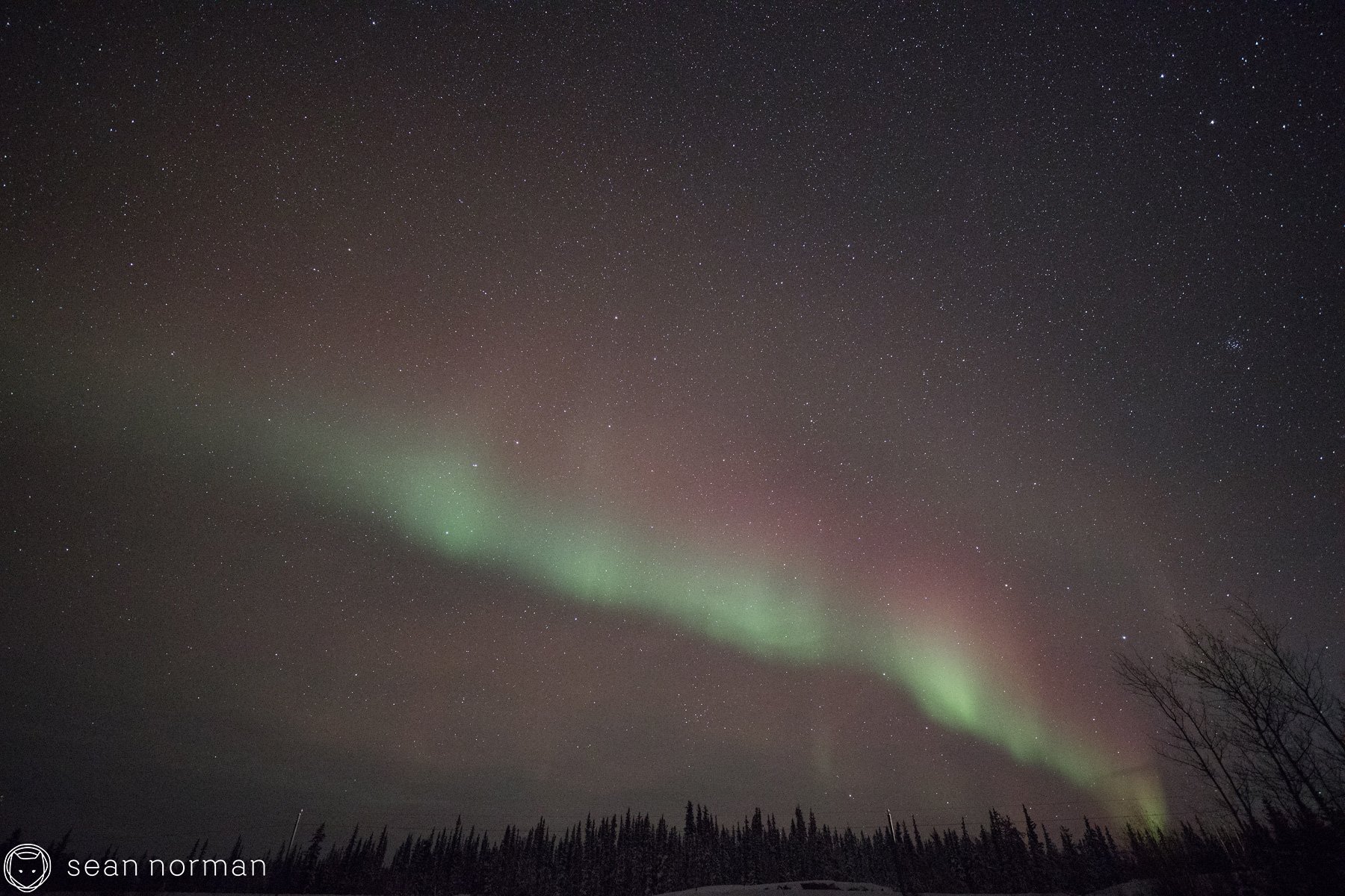 Yellowknife Northern Lights Tour - Aurora Chaser - 1.jpg