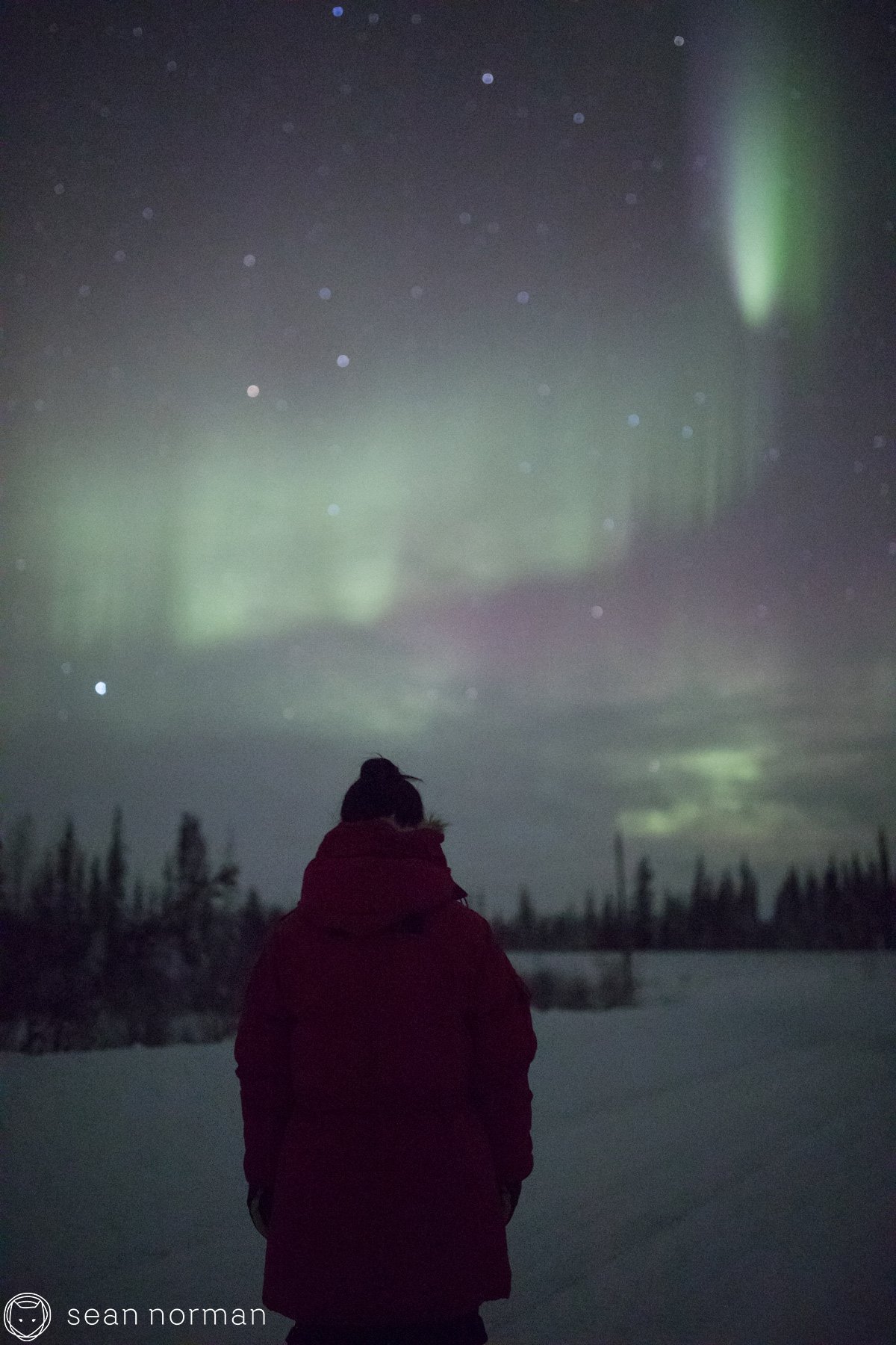 Yellowknife Northern Lights Tour - Aurora Chaser - 2.jpg