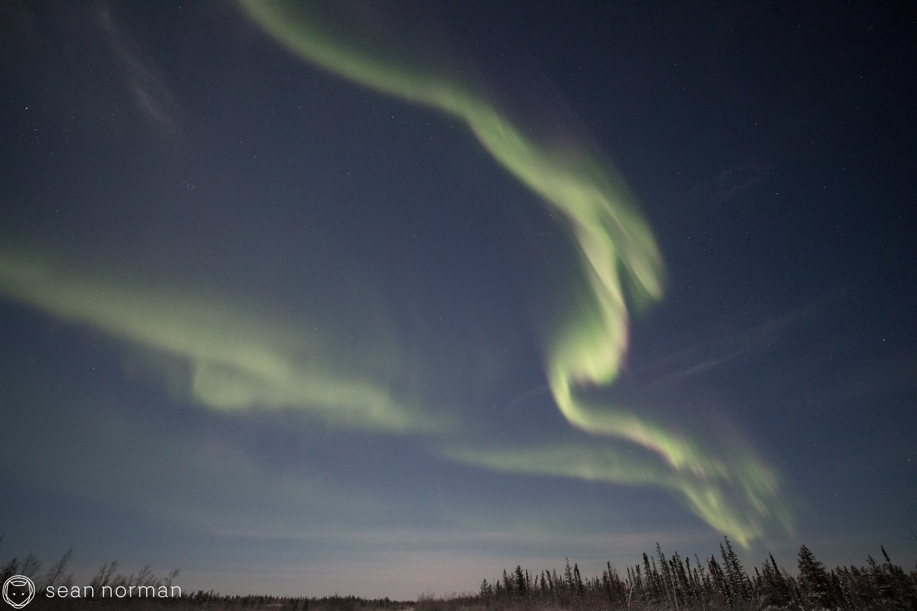 Yellowknife New Year's Eve - Aurora Chasing Tour - Sean Norman Blog - 8.jpg