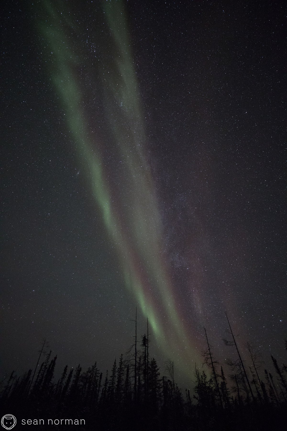 Yellowknife Aurora Tour - Sean Norman Aurora Chaser - 3.jpg