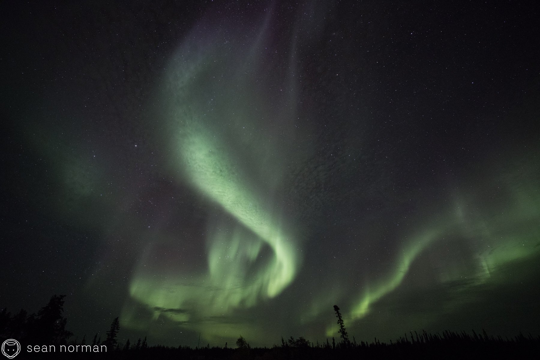 Yellowknife Aurora Borealis - Sean Norman Blog - 4.jpg