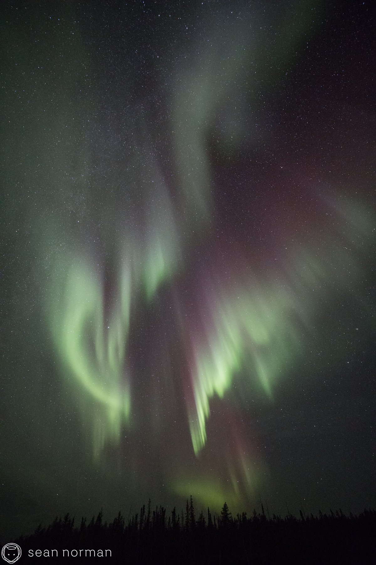 Yellowknife Aurora Photo Blog - Sean Norman Guide - 7.jpg