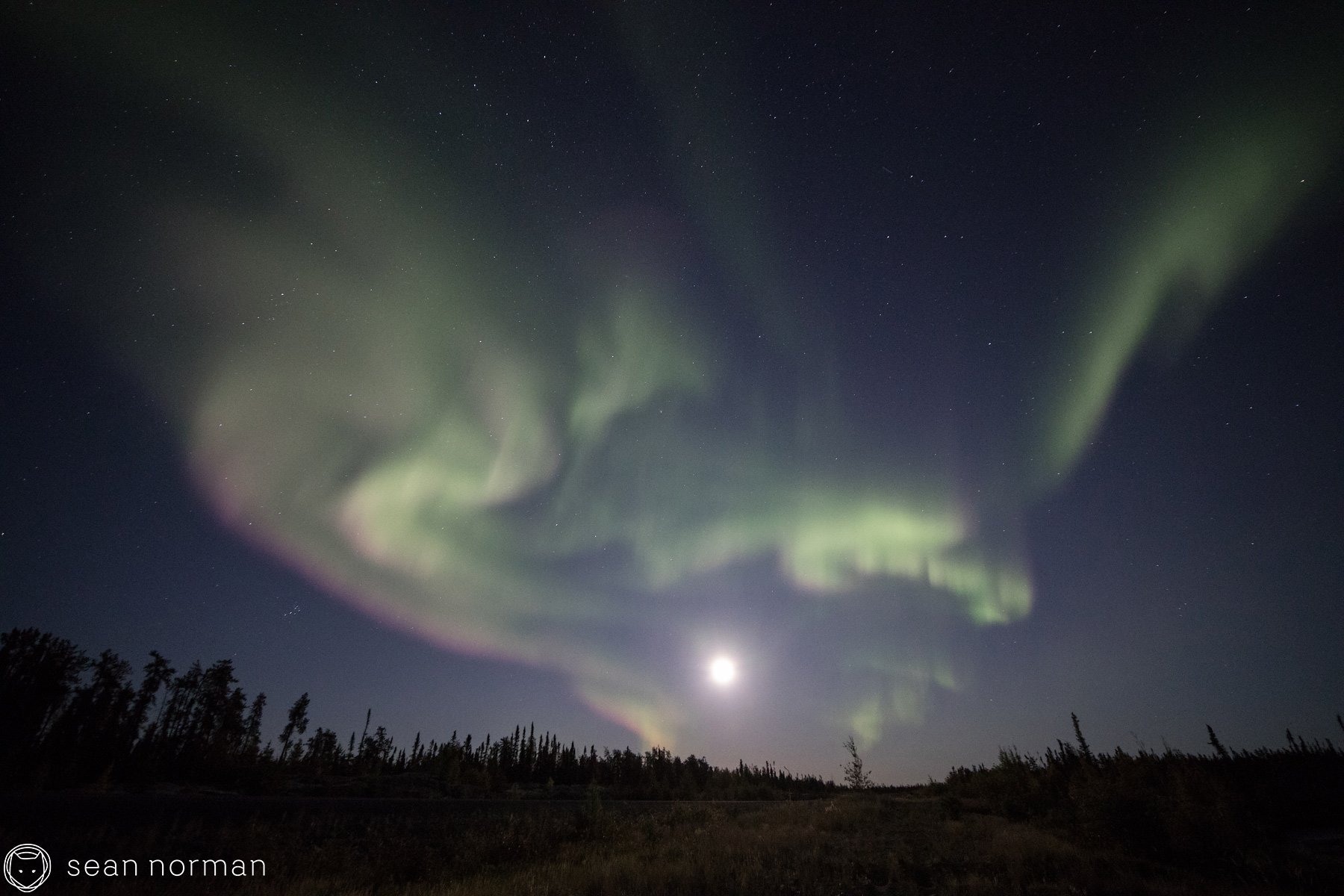 Yellowknife Summer Aurora - Aurora Guide - 2.jpg