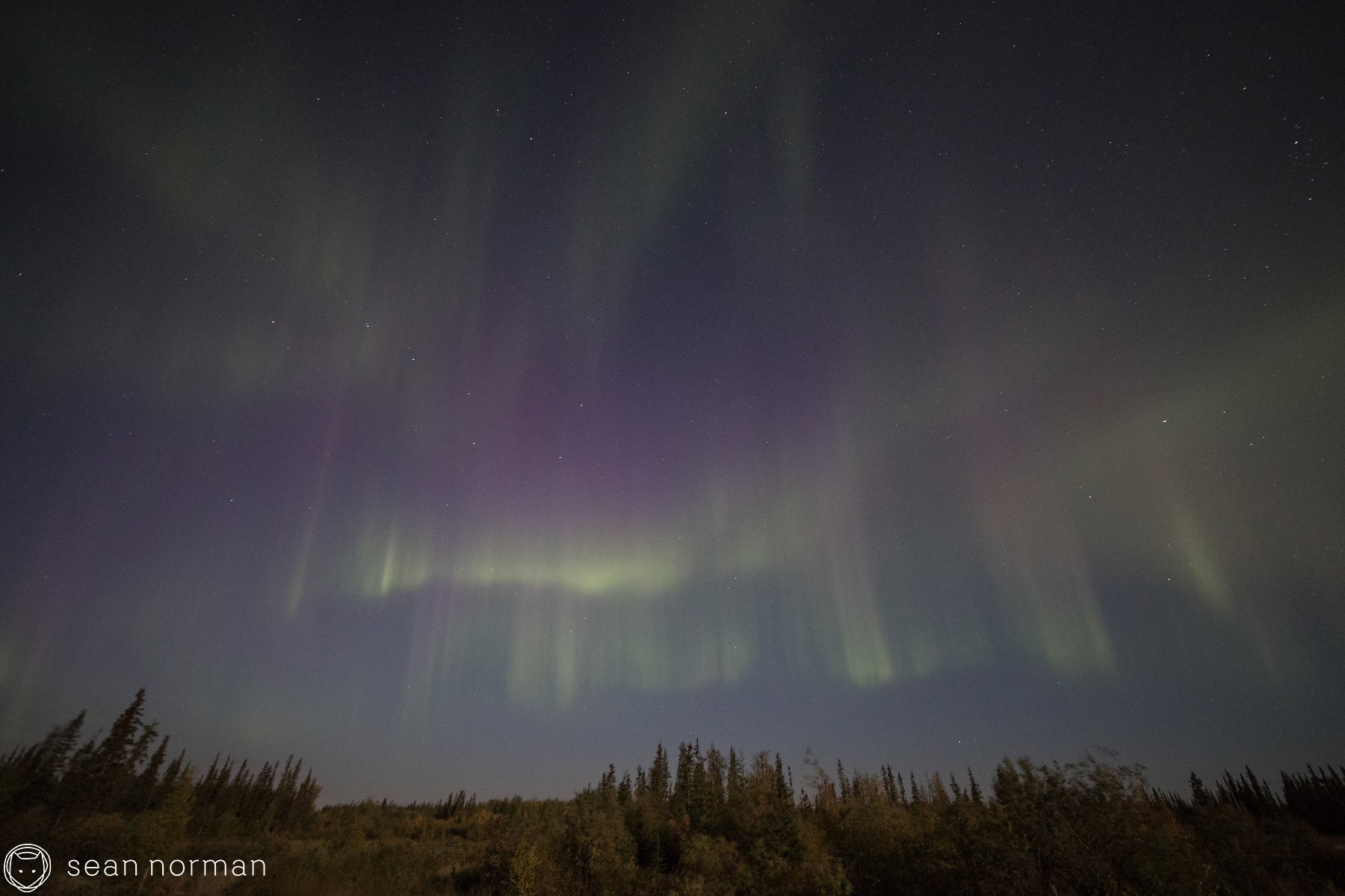 Yellowknife Northern Lights Tour - Sean Norman Blog - 6.jpg