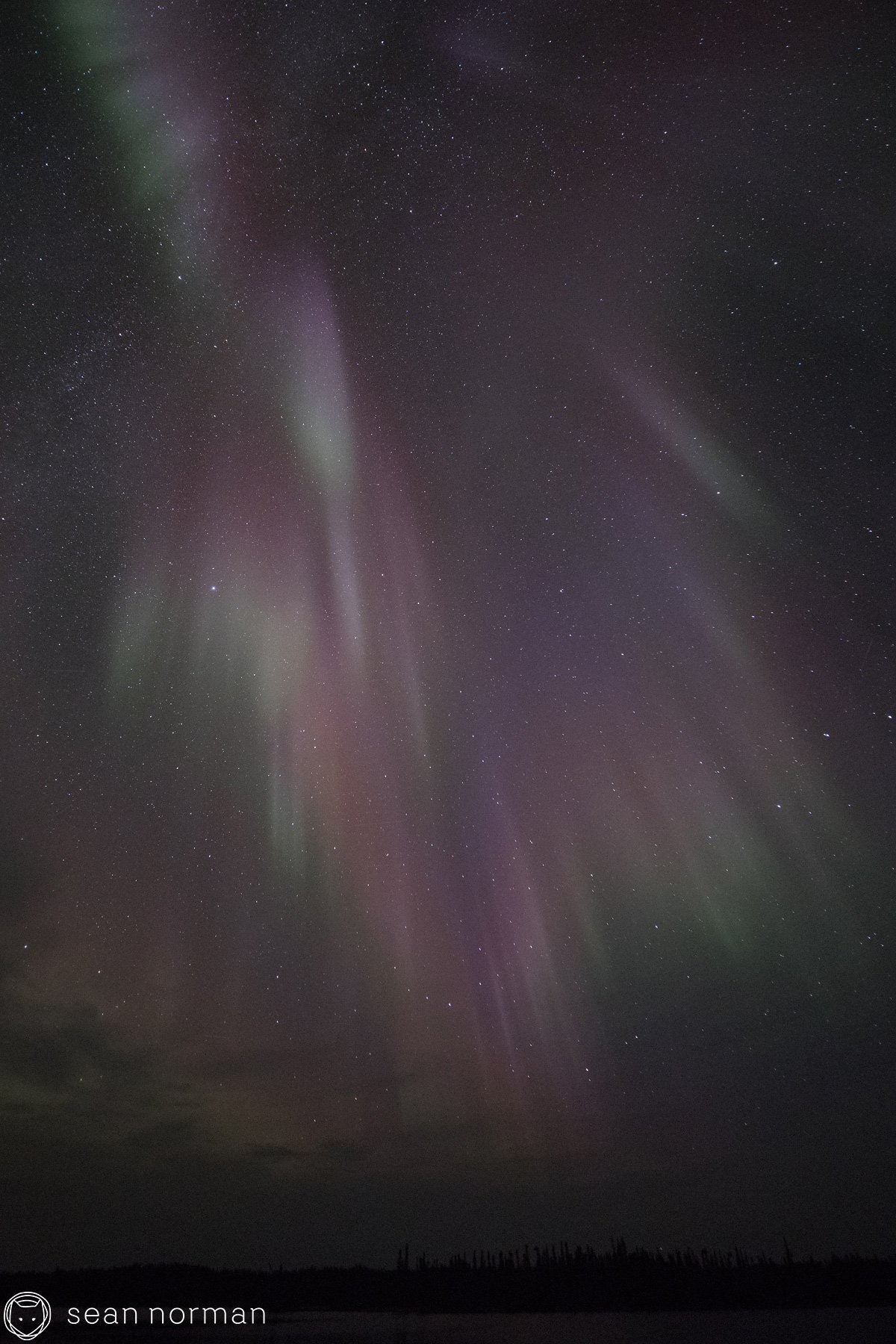 Yellowknife Northern Light Tour -Autumn Aurora - 6.jpg