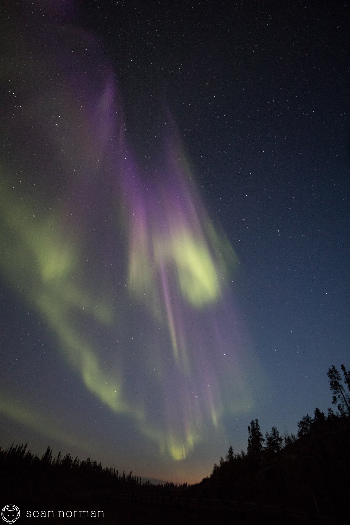 Yellowknife Aurora Tour - Sean Norman Aurora Guide - 4.jpg