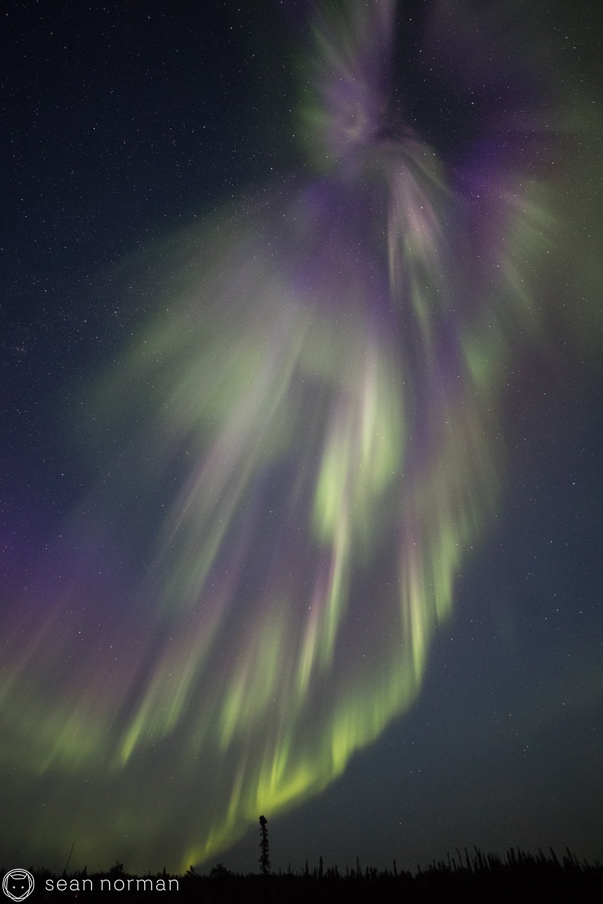 Yellowknife Aurora Tour - Sean Norman Aurora Guide - 5.jpg