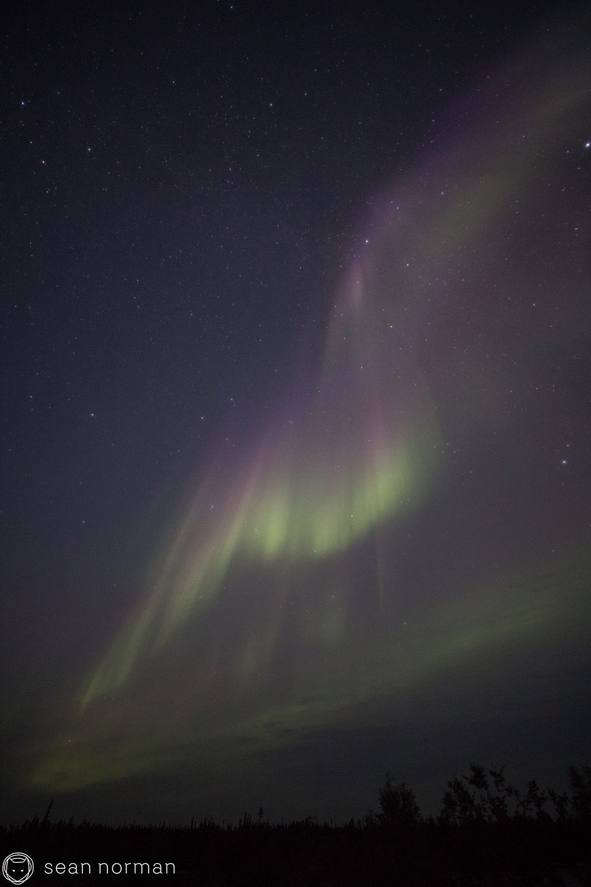 Yellowknife Summer Aurora - Sean Norman Aurora Guide - 1.jpg