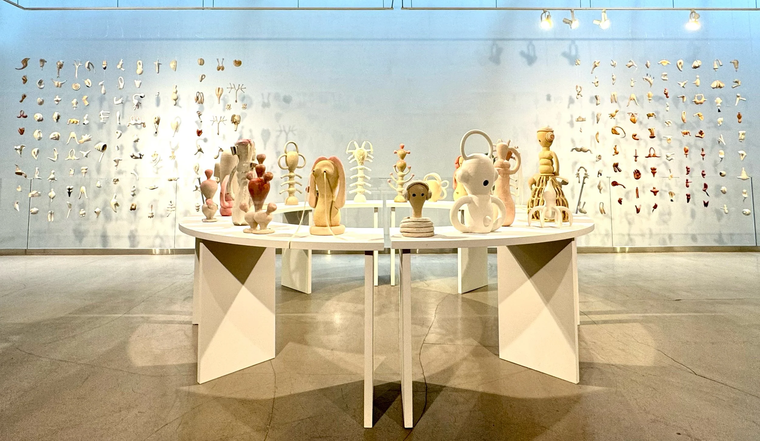 BecomingHybridInstallation_dimensionsvariable_mixedmedia_JeanneJaffe.jpg