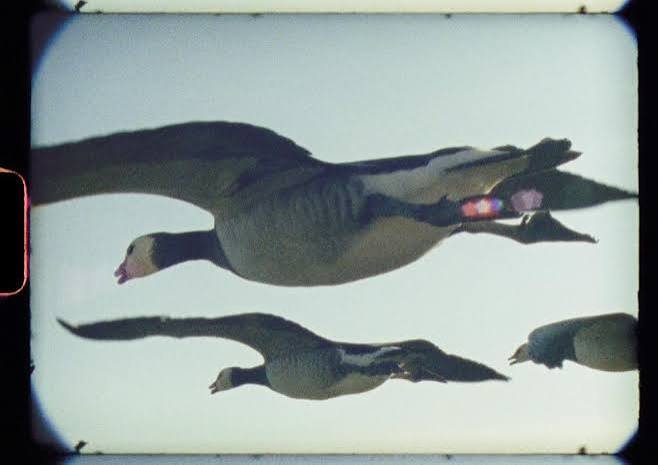 Super Nature