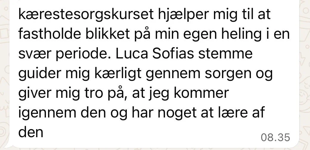 Tekst om en kærestesorgskursus, der hjælper med at håndtere sorg gennem en stemme guide, med referencer til Luca Sofias stemme og personlig vækst.