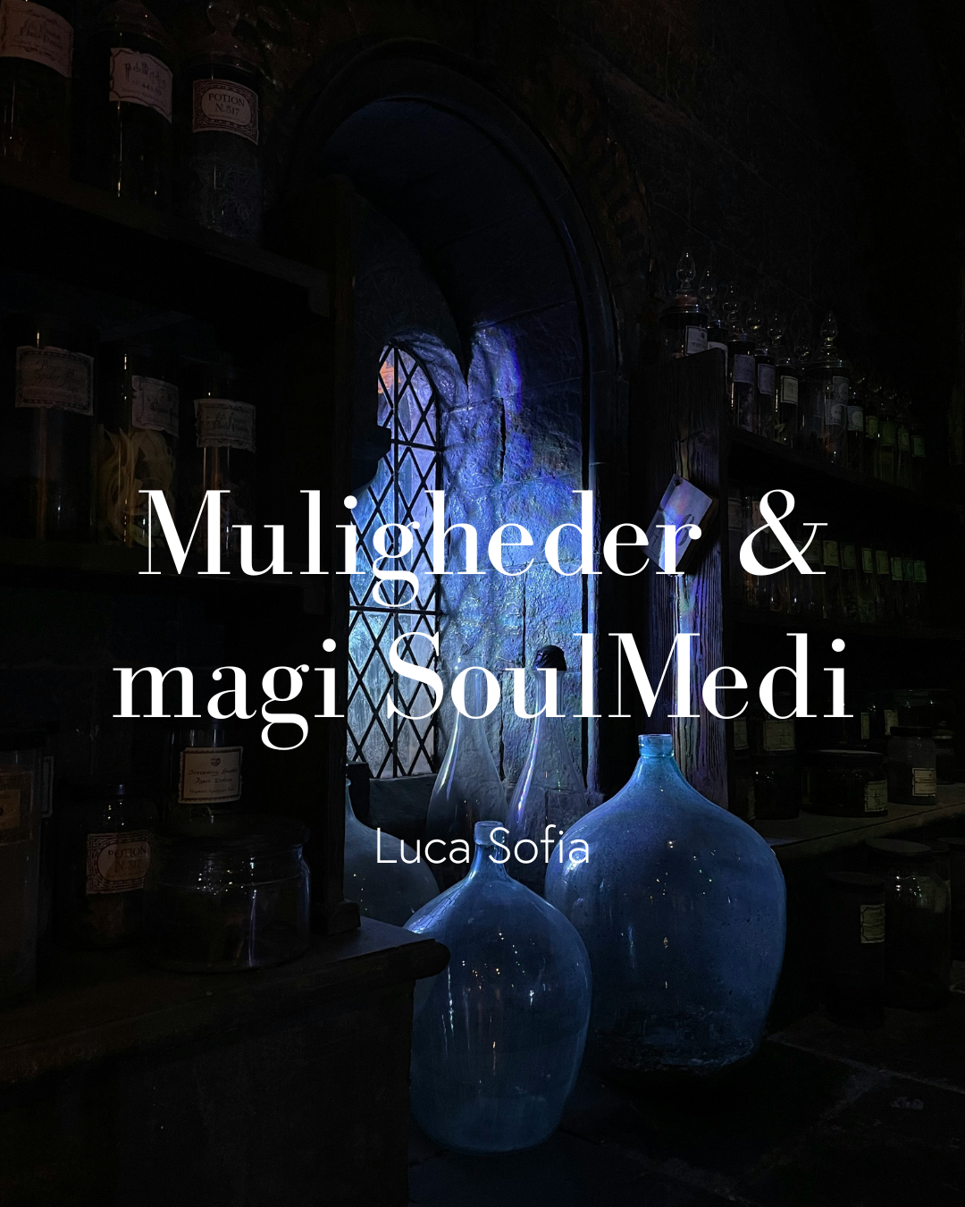 muligheder & magi.png