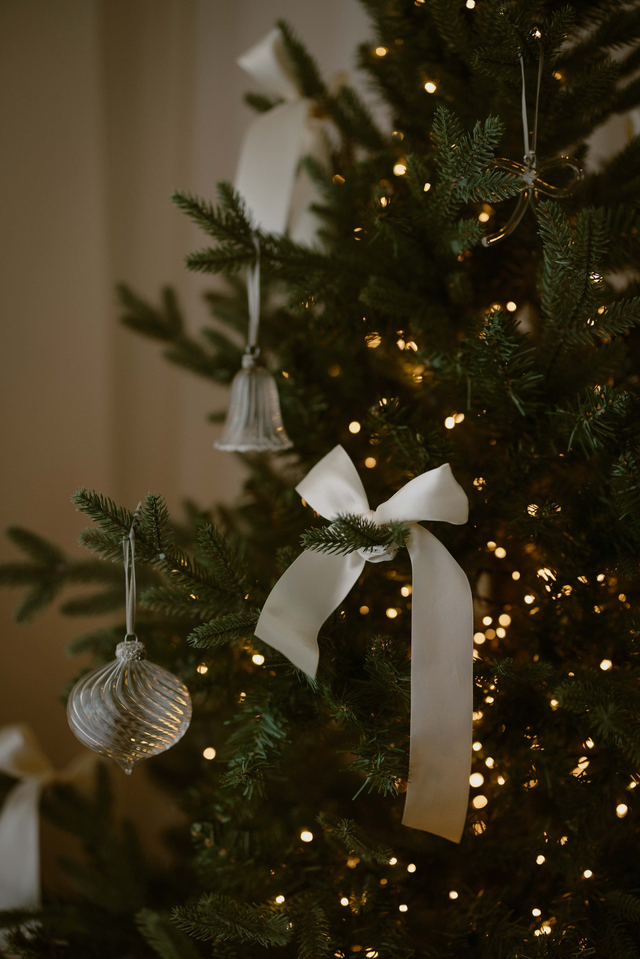 christmas-photoshoot-warlingham-12.jpg