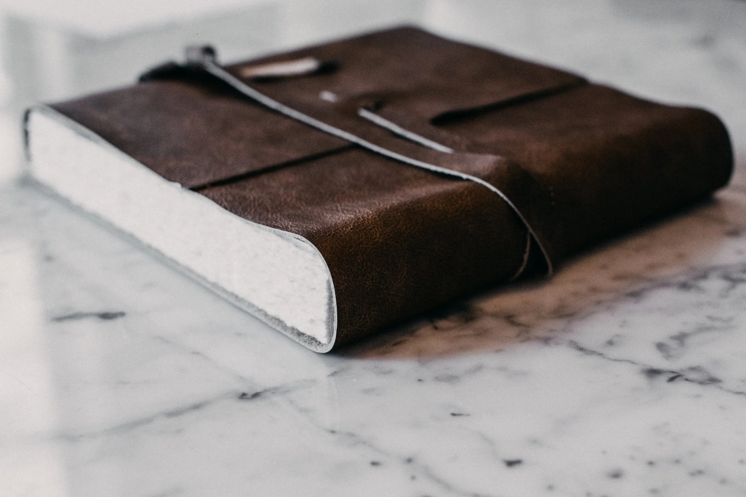 Journal+Artbook+Hazelnut+(4).jpg