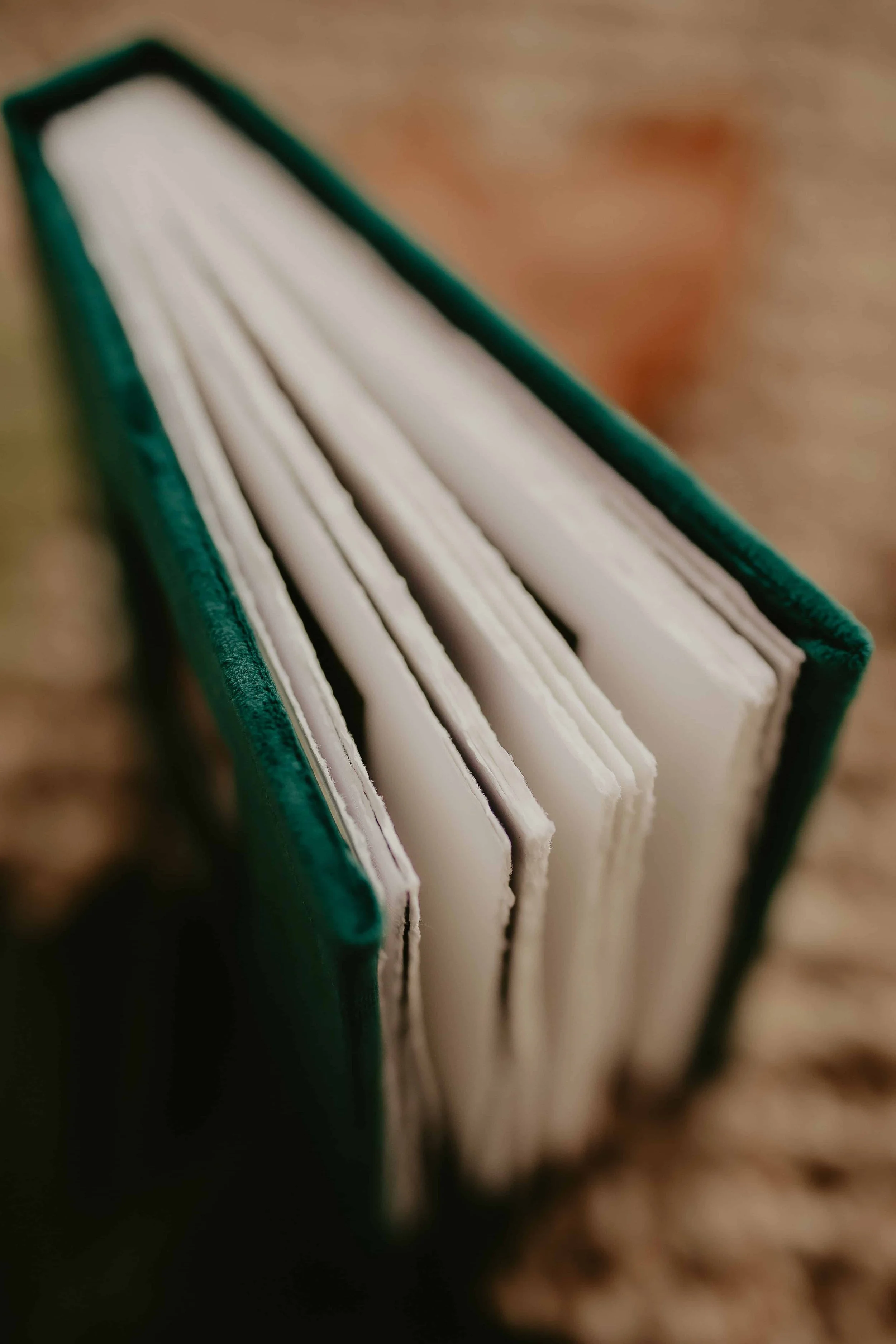 Close-up of a velvet green photo album.