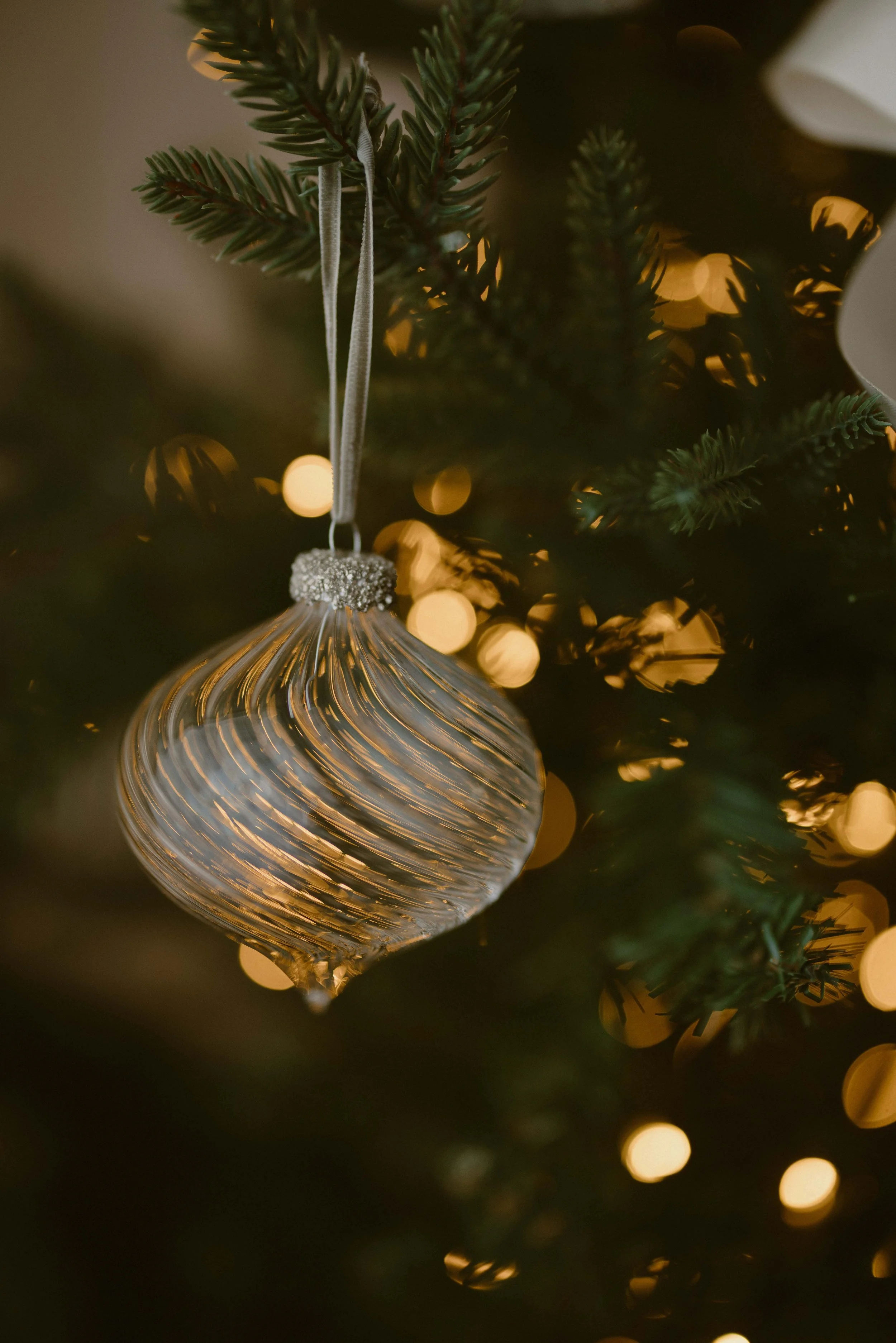christmas-photoshoot-warlingham-11.jpg