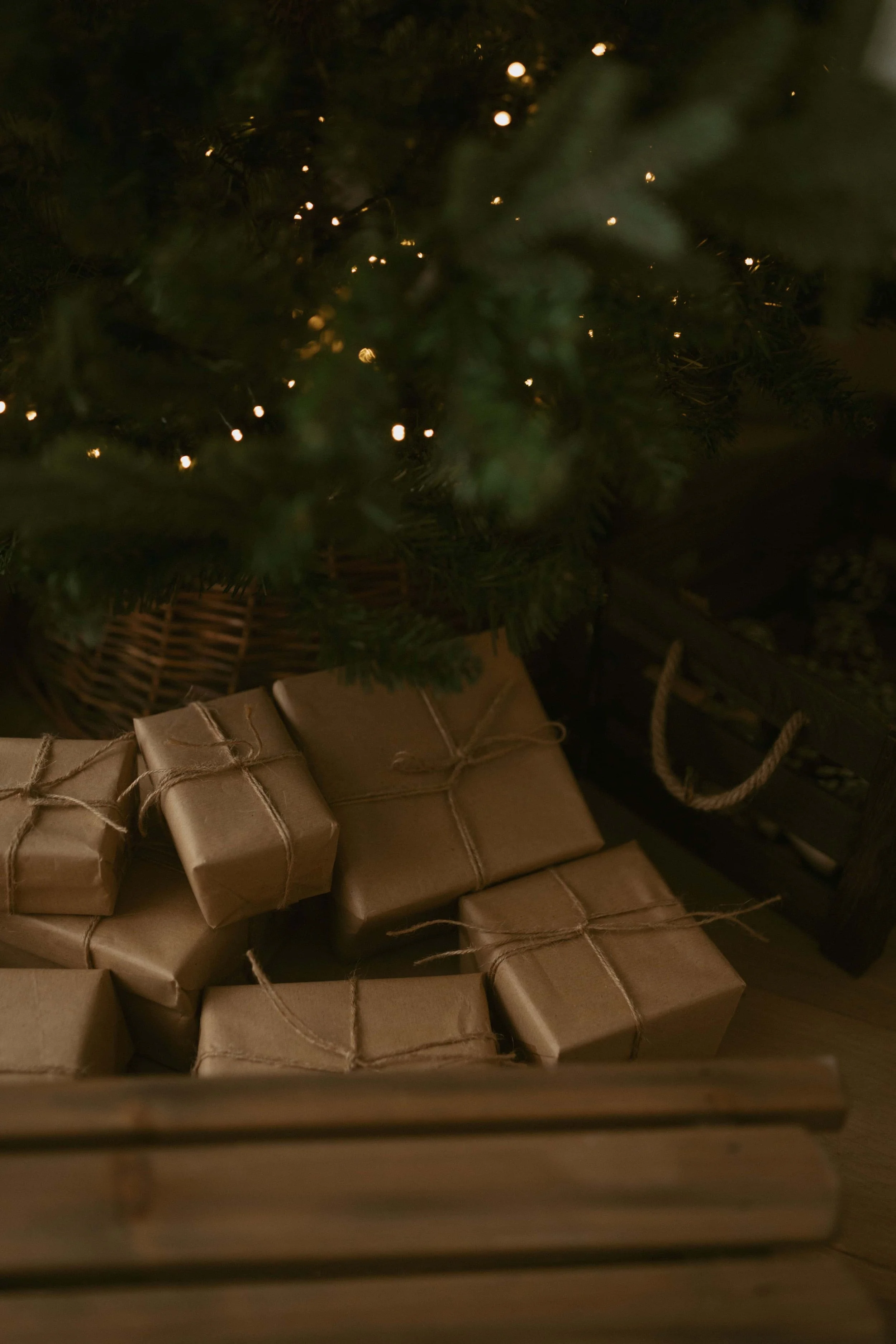 christmas-photoshoot-warlingham-10.jpg