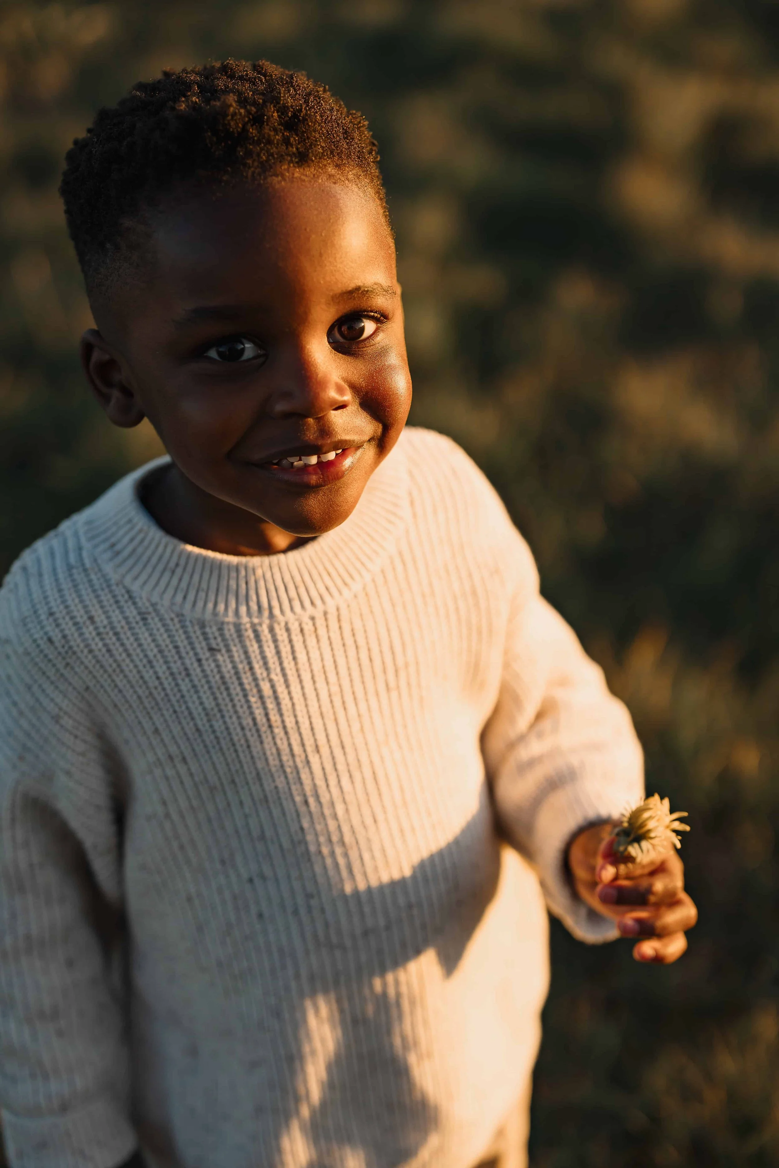 A young boy with a bright smile, wearing a cream-colored sweater, holding a daisy, outdoors during golden hour.