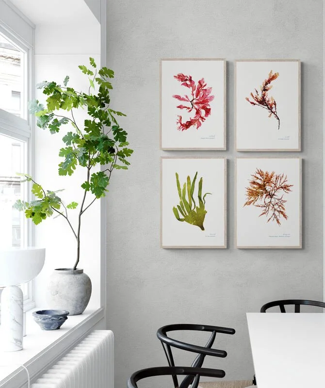 bright-apartment-dining-room.jpg
