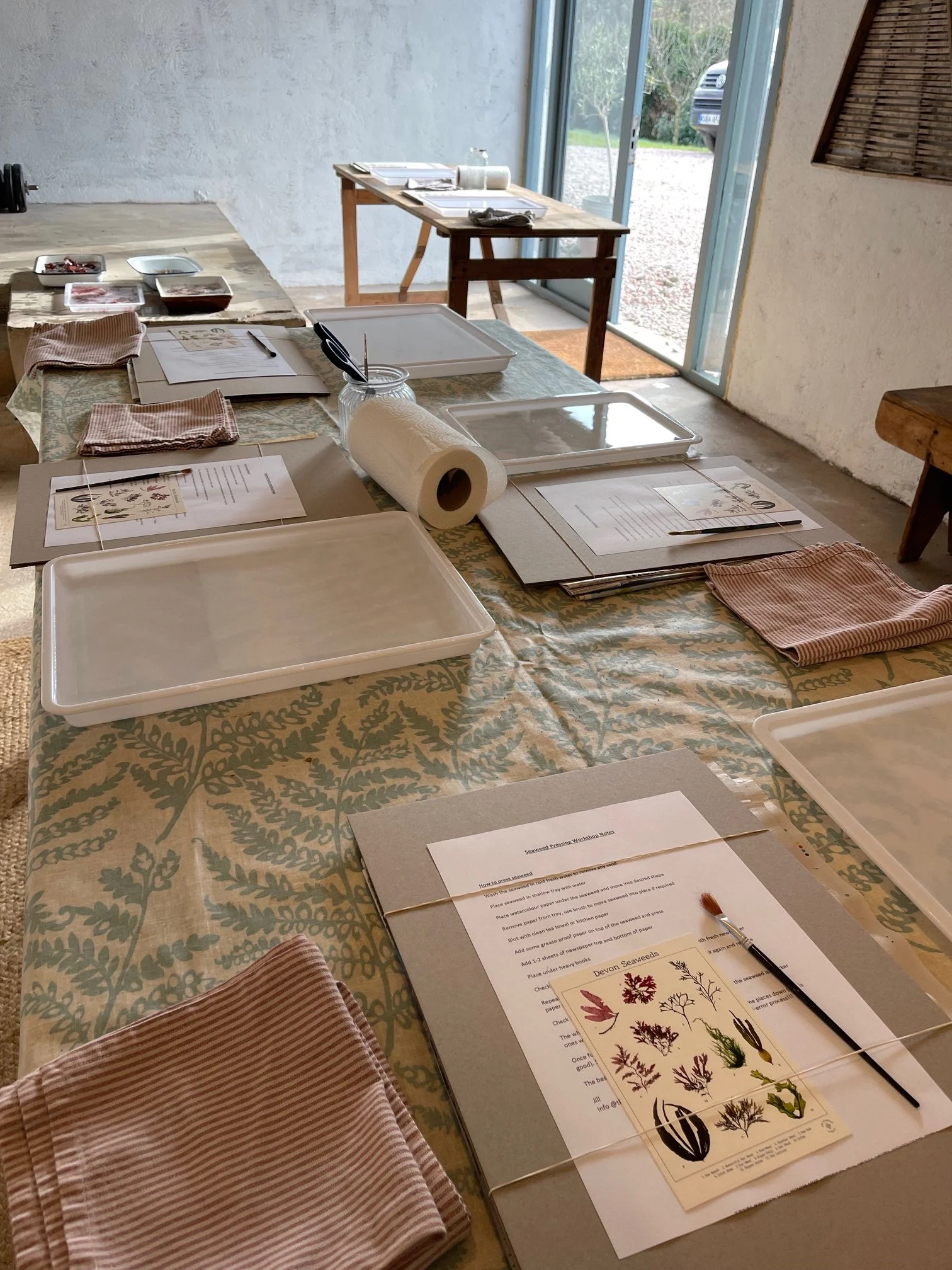 IMG_5367.jpeg (Copy) (Copy)