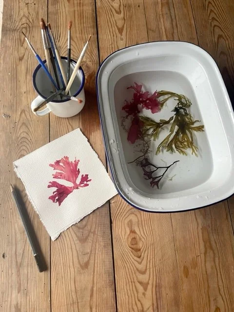 Pressing, The Seaweed Studio, small res.jpg