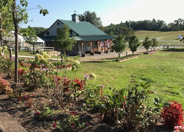 Berlin ORchards.jpeg