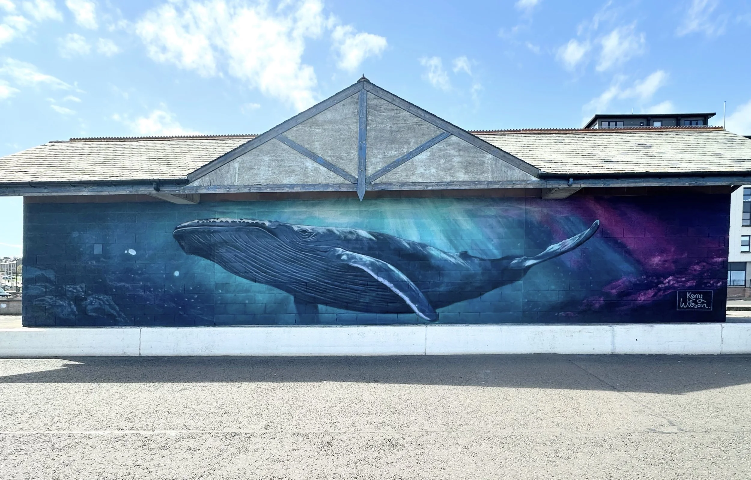 Whale Mural