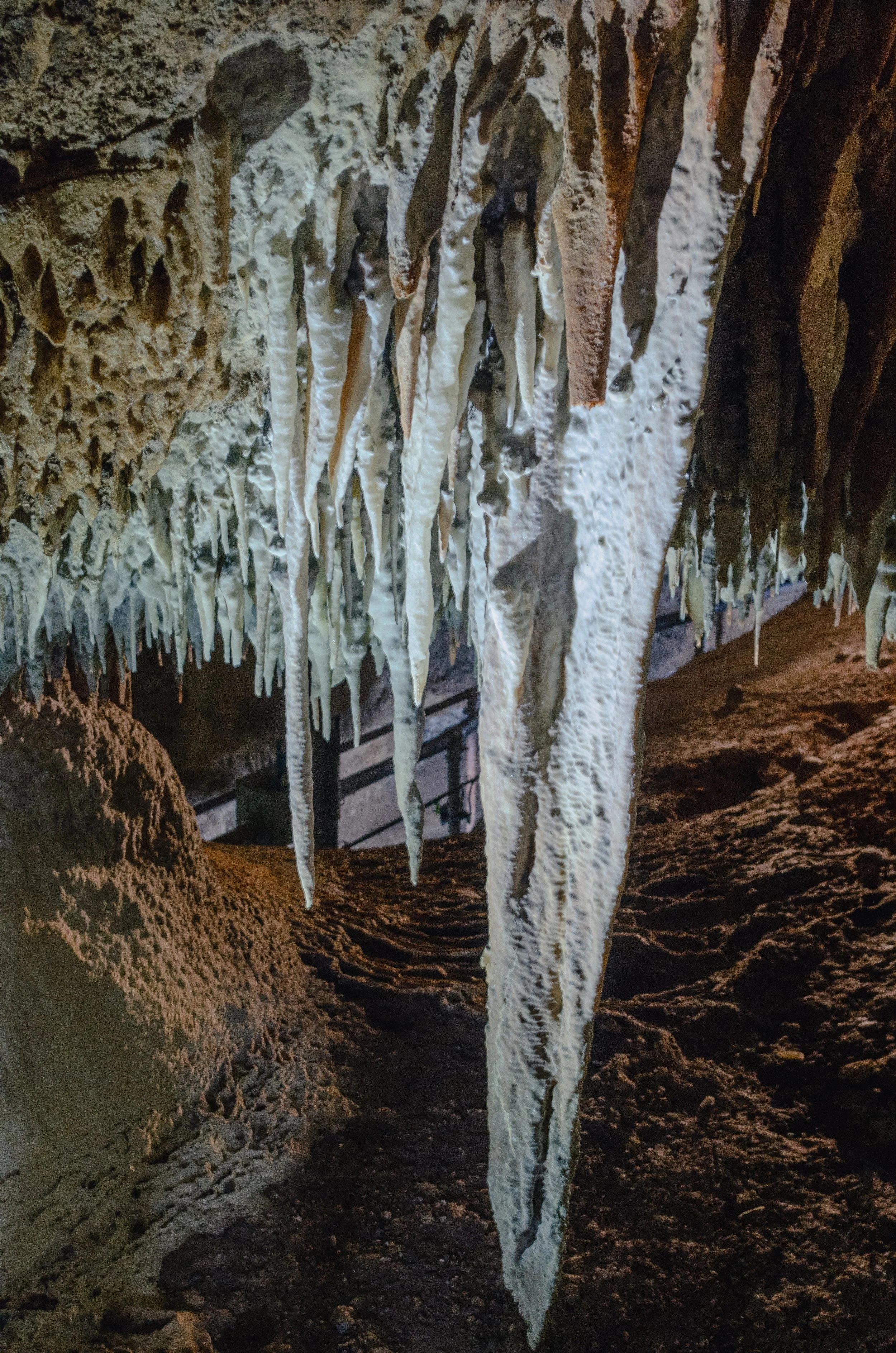 _DSC3029.jpg