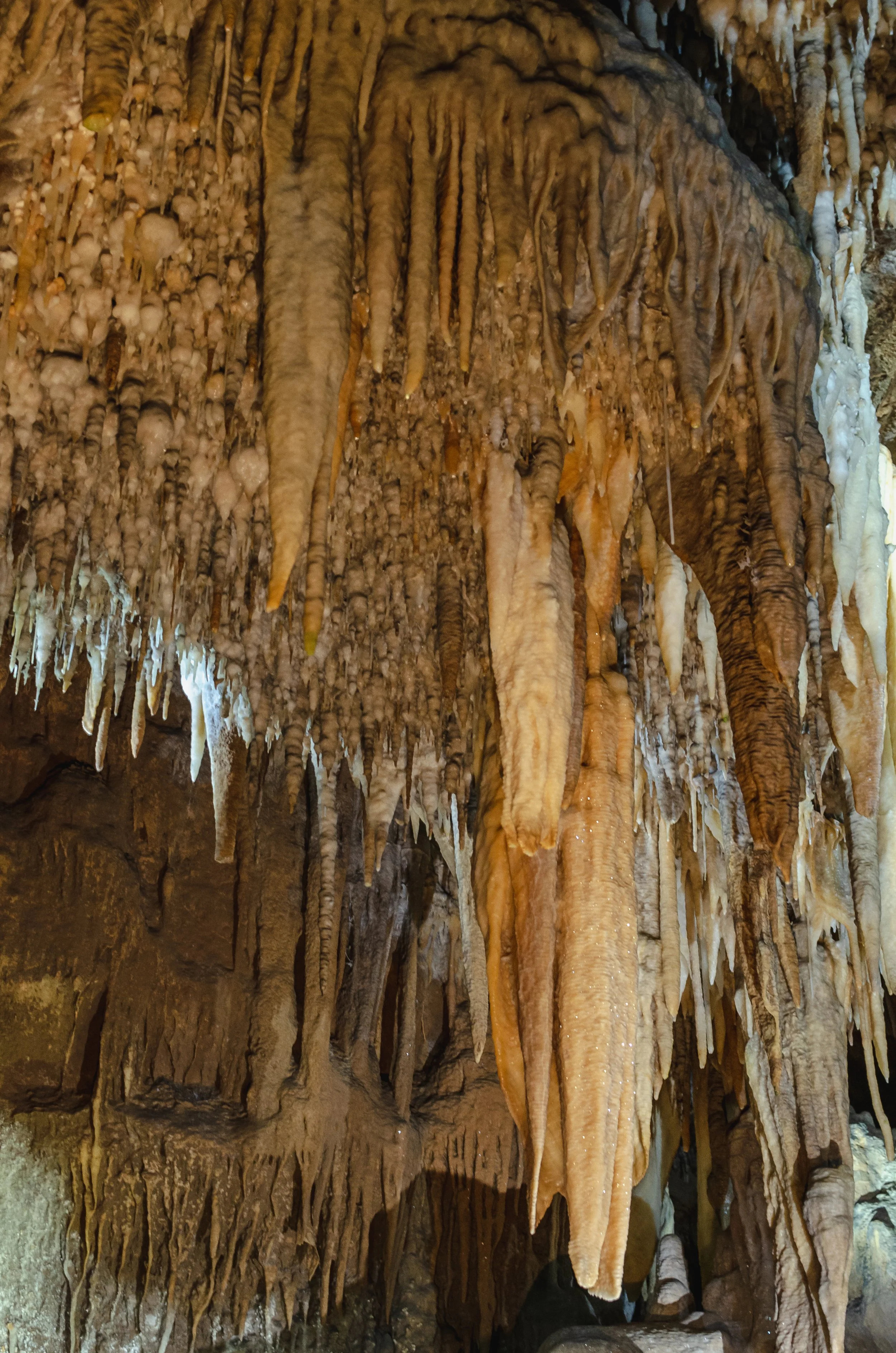 _DSC3047.jpg