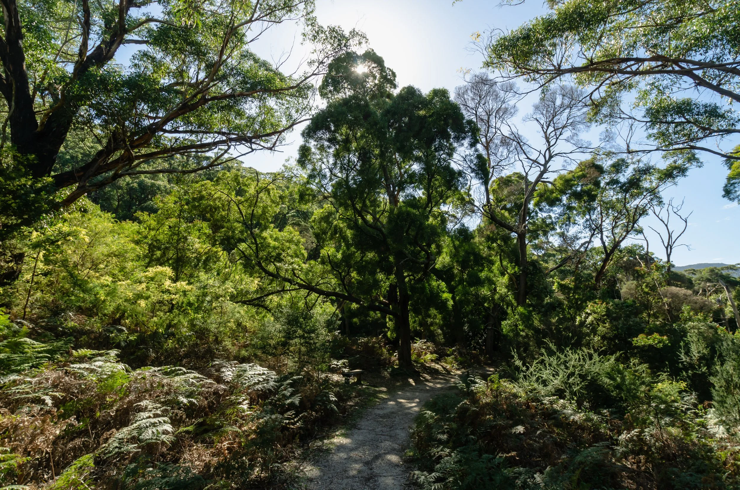 _DSC3791.jpg