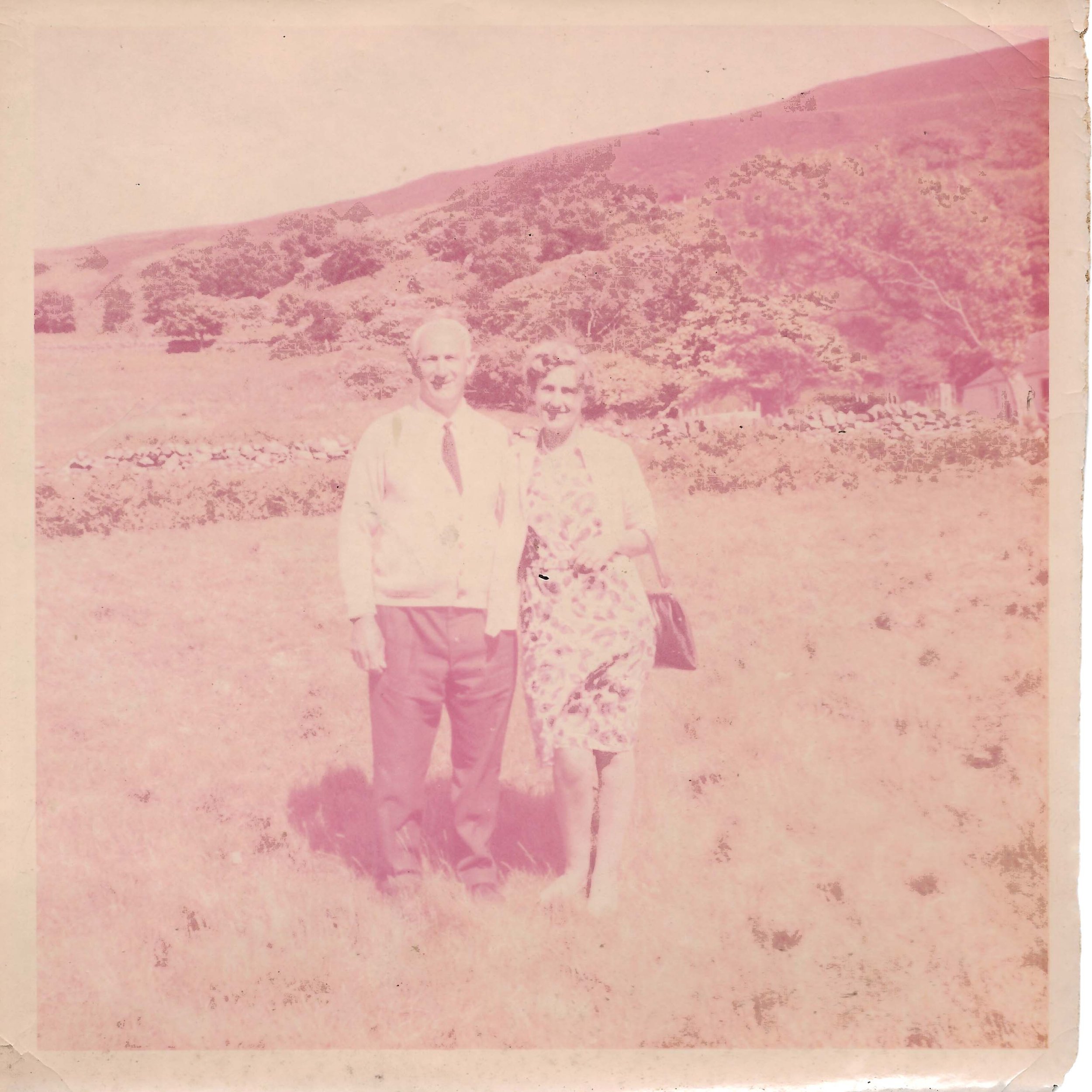 Faded colour photograph with strong colour shift and loss of detail