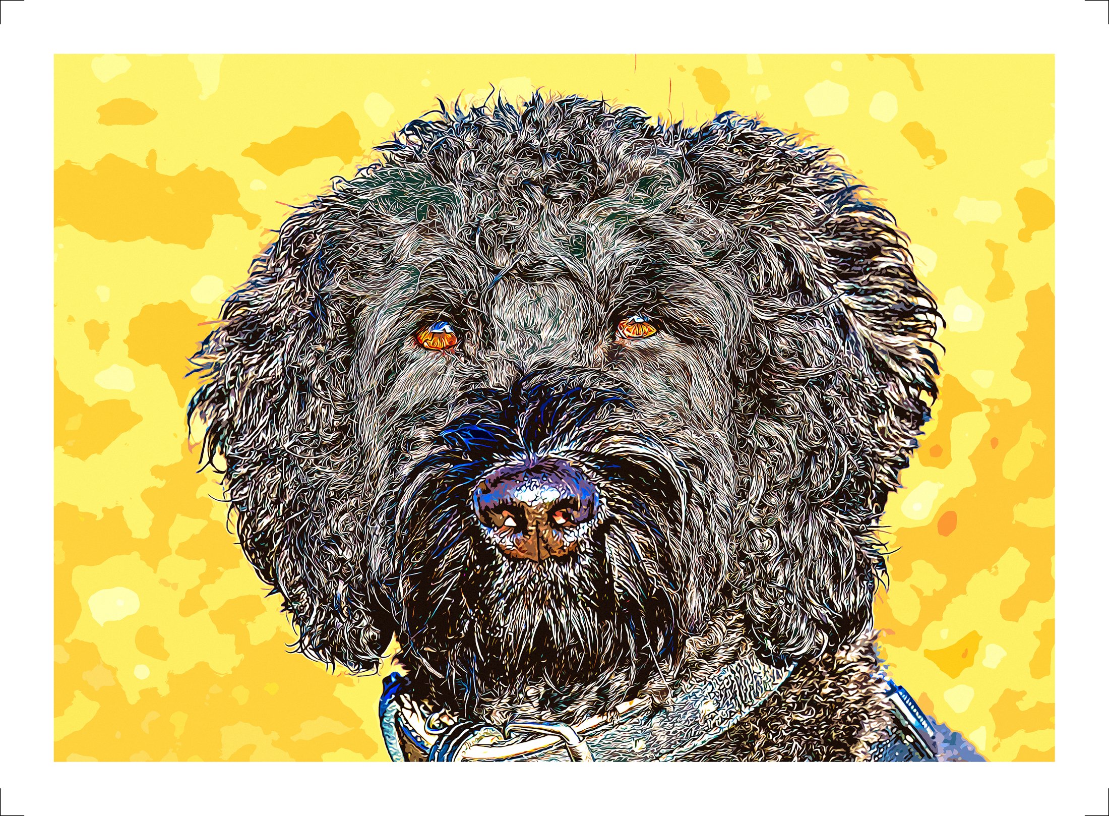 Finn.jpg Bespoke artistic dog portrait featuring expressive detail, textured fur and a vibrant yellow background in a contemporary illustration style