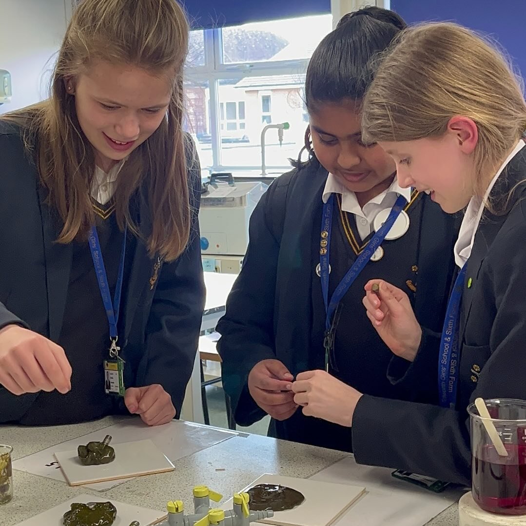 🔬 Discover the magic of science at TGS! 🎩✨ 

At our school, we believe in diving hands-on into the world of scientific discovery. We encourage our students to not just learn science, but to live it through thrilling experiments and real-world appli