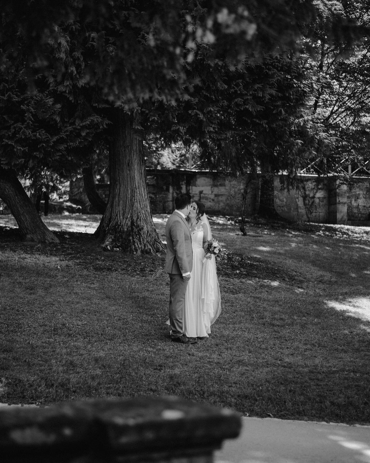 steffi &amp; nikolai 🖤​​​​​​​​​​​​​​​​​​​​​​​​
⠀⠀⠀⠀⠀⠀⠀⠀⠀​​​​​​​​​​​​​​​​​​​​​​​​
#hochzeit #sommerhochzeit #sommer #schlosshohenstein #kirchlichetrauung #rosenaur&ouml;dental #orangerierosenau #braut #br&auml;utigam #liebe #verliebt #f&uuml;rimmer #