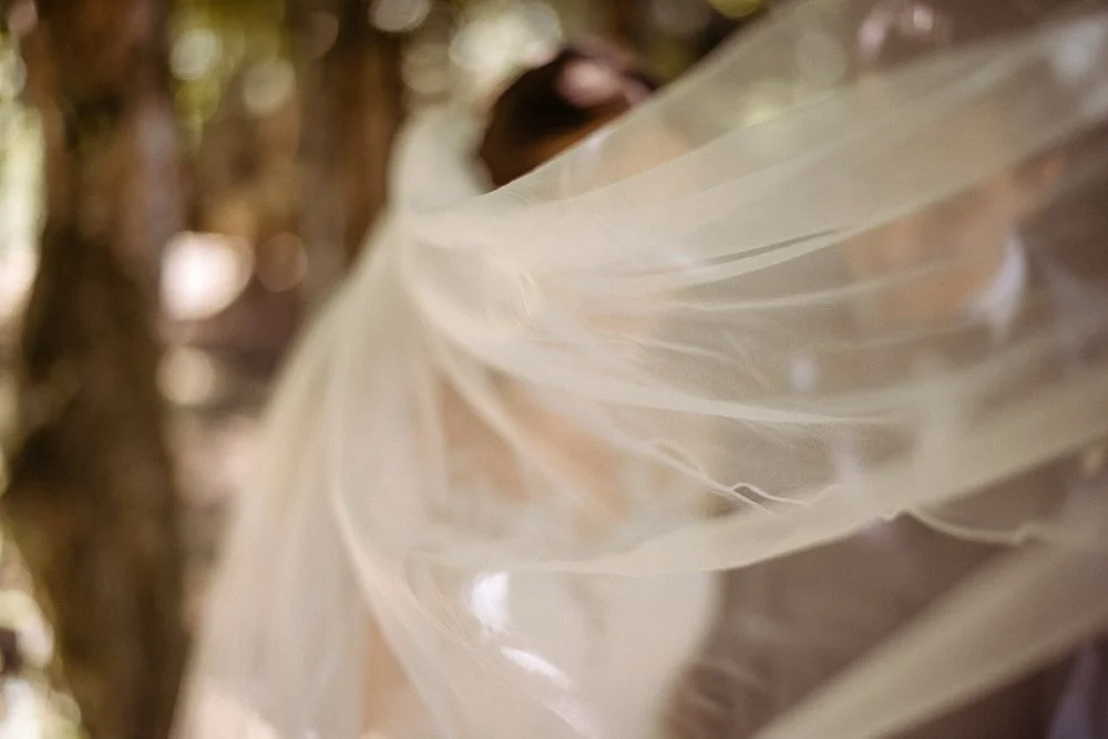 steffi &amp; nikolai 🖤​​​​​​​​​​​​​​​​​​​​​​​​​​​​​​​​​​​​​​​​​⠀⠀⠀⠀⠀⠀⠀⠀⠀​​​​​​​​​​​​​​​​​​​​​​​​​​​​​​​​

#hochzeit #sommerhochzeit #sommer #schlosshohenstein #kirchlichetrauung #rosenaur&ouml;dental #orangerierosenau #braut #br&auml;utigam #liebe #