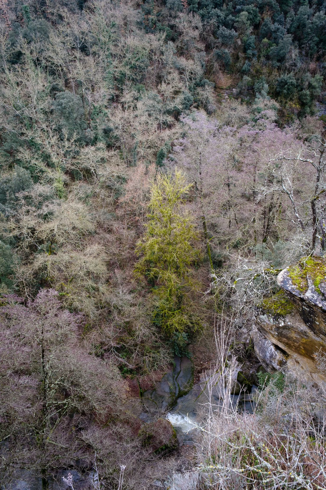 L'Esquirol 260126_2026_00078_website.jpg