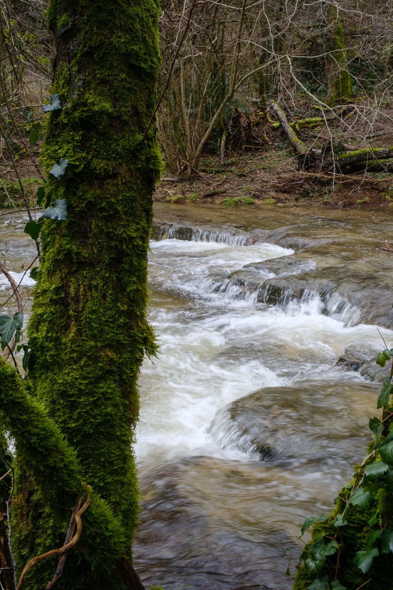 L'Esquirol 260126_2026_00054_website.jpg