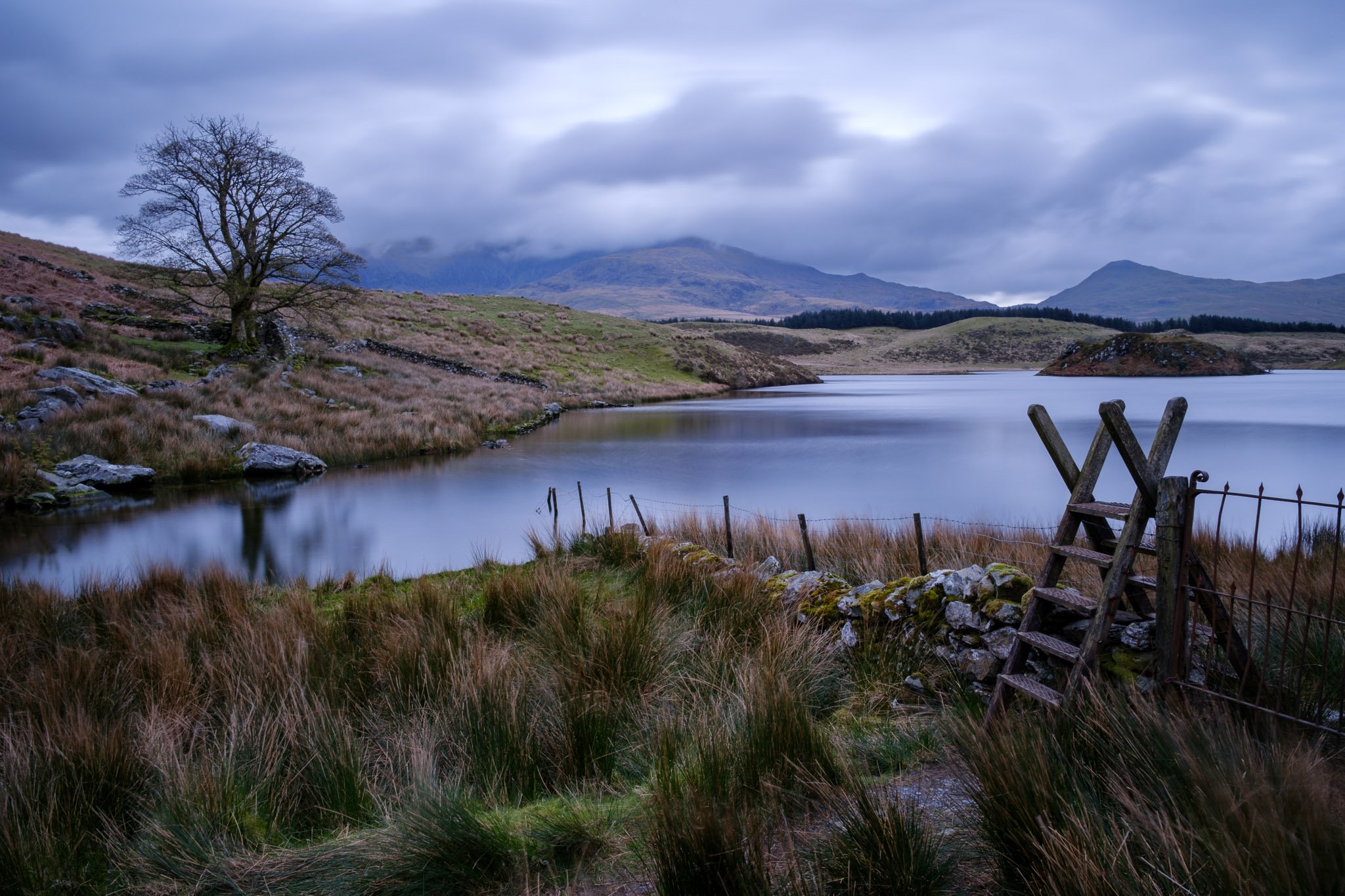 Llyn y Dywarchen 230424_2024_00062_website.jpg