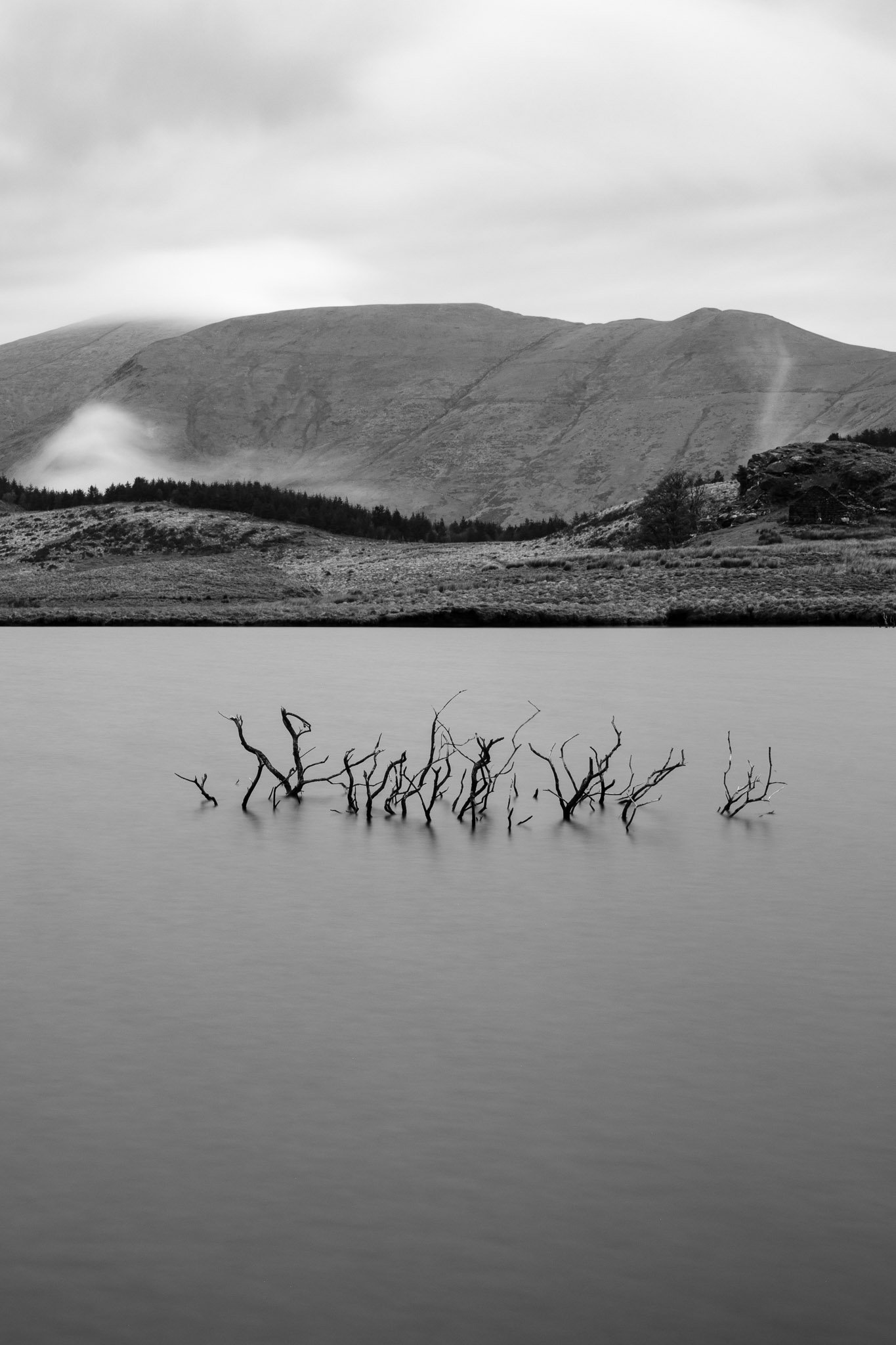 Llyn y Dywarchen 230424_2024_00041_website.jpg