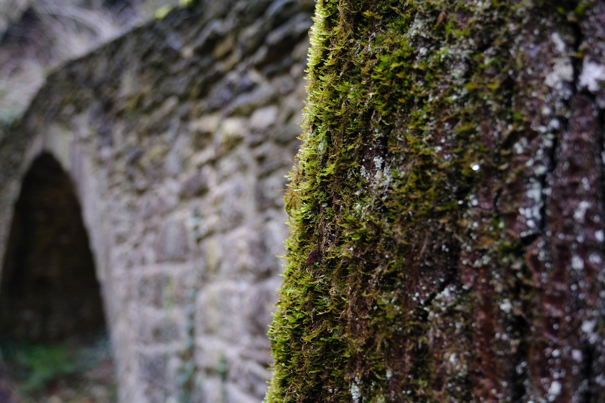 L'Esquirol 260126_2026_00068_website.jpg