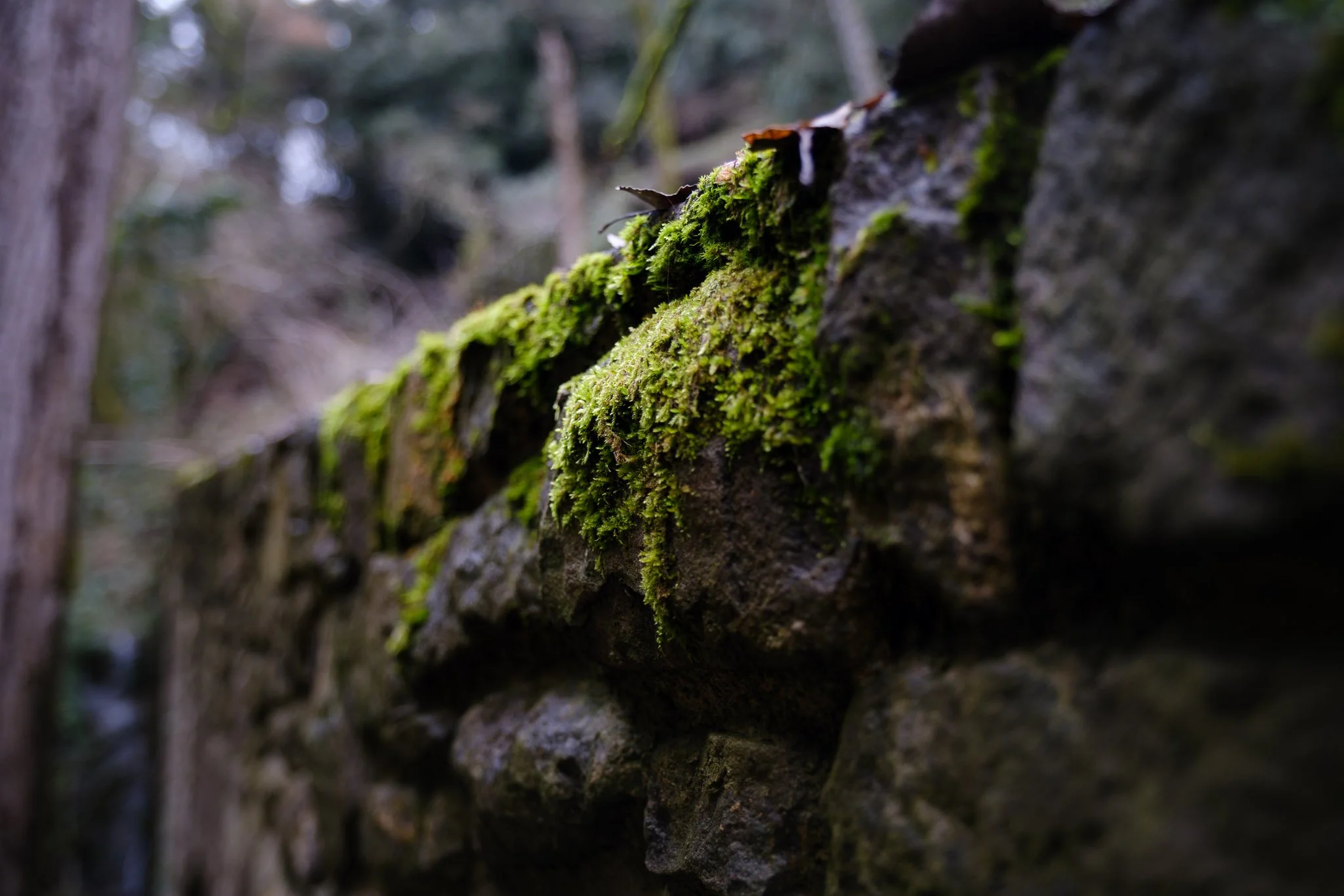 L'Esquirol 260126_2026_00069_website.jpg