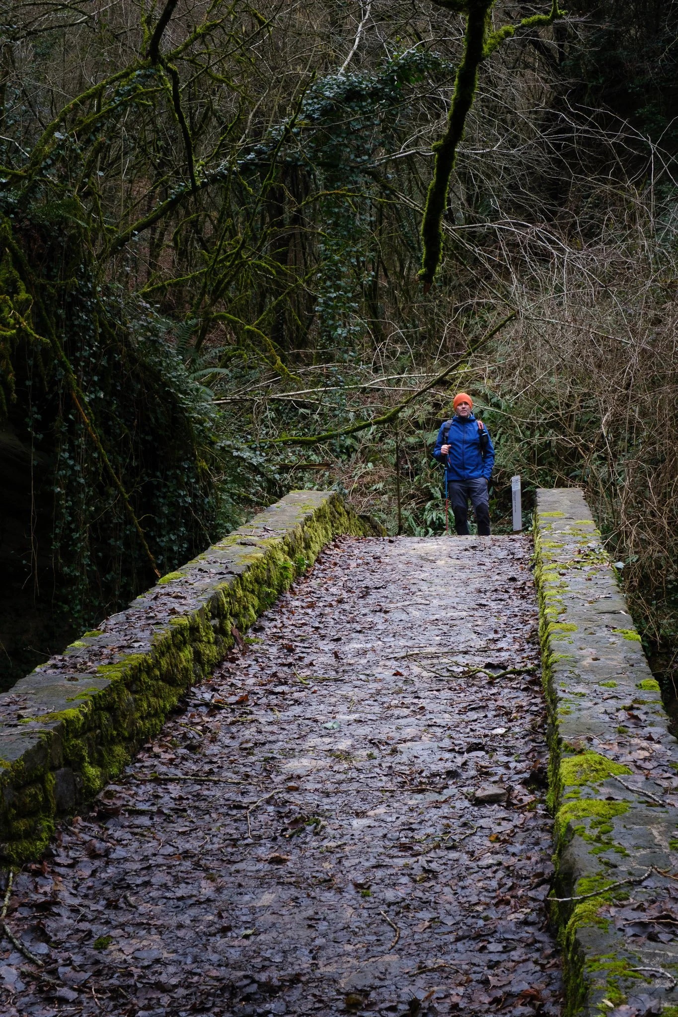 L'Esquirol 260126_2026_00070_website.jpg