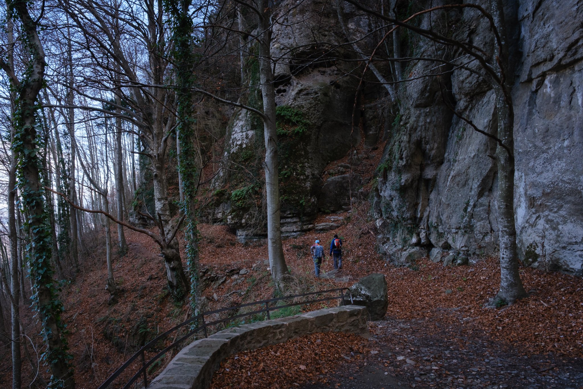 Puigsacalm 211224_2024_00113_website.jpg