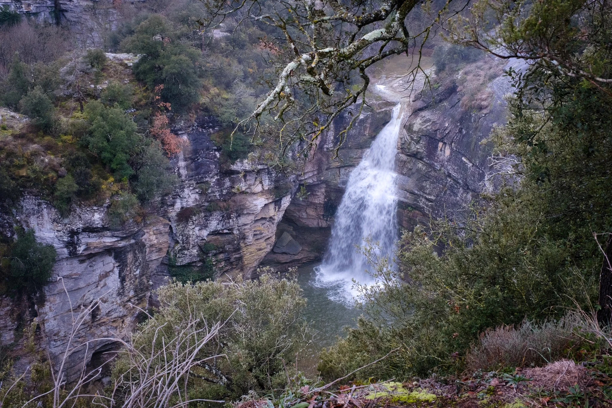 L'Esquirol 260126_2026_00016_website.jpg