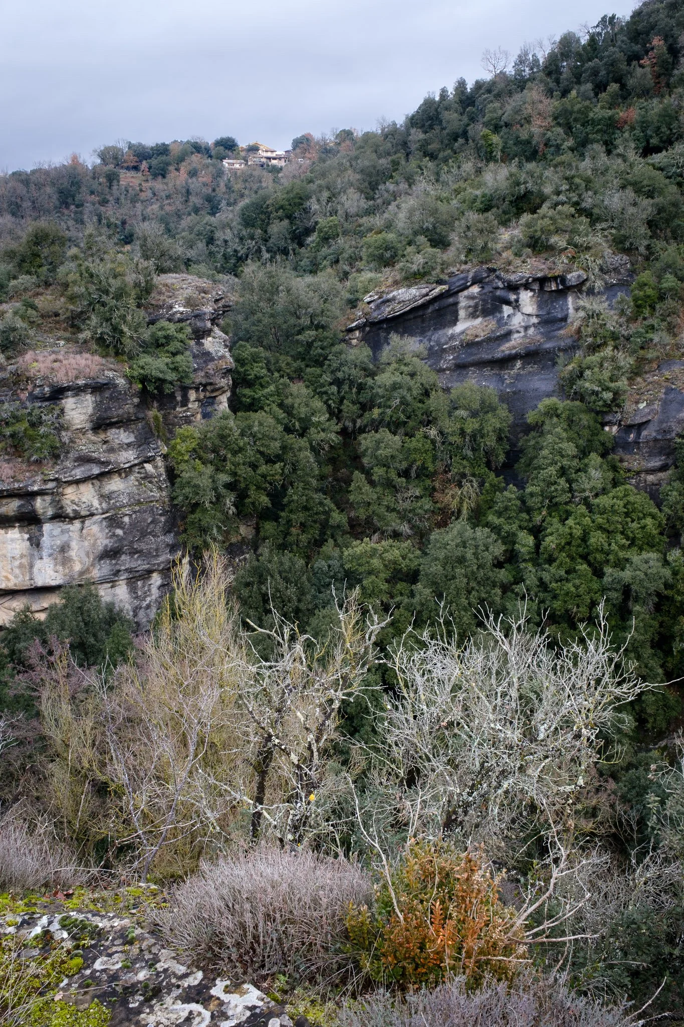 L'Esquirol 260126_2026_00072_website.jpg